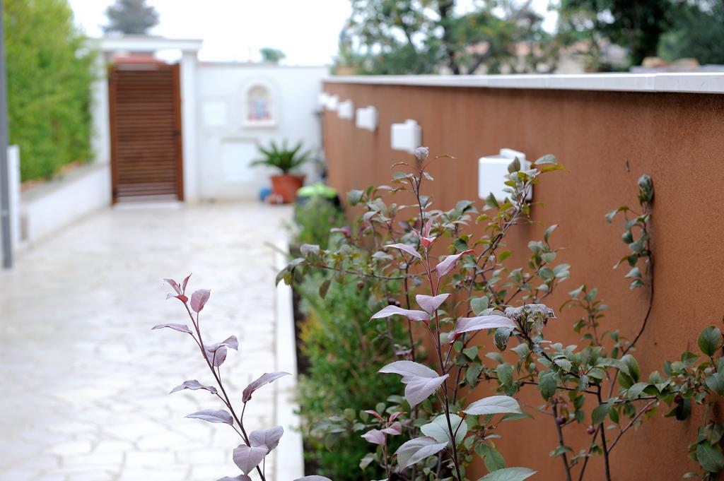 B&B Sun House Modugno Exteriér fotografie
